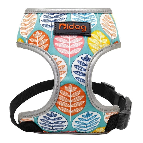 Comfortfit Nylon Dog And Cat Harness Leash Set