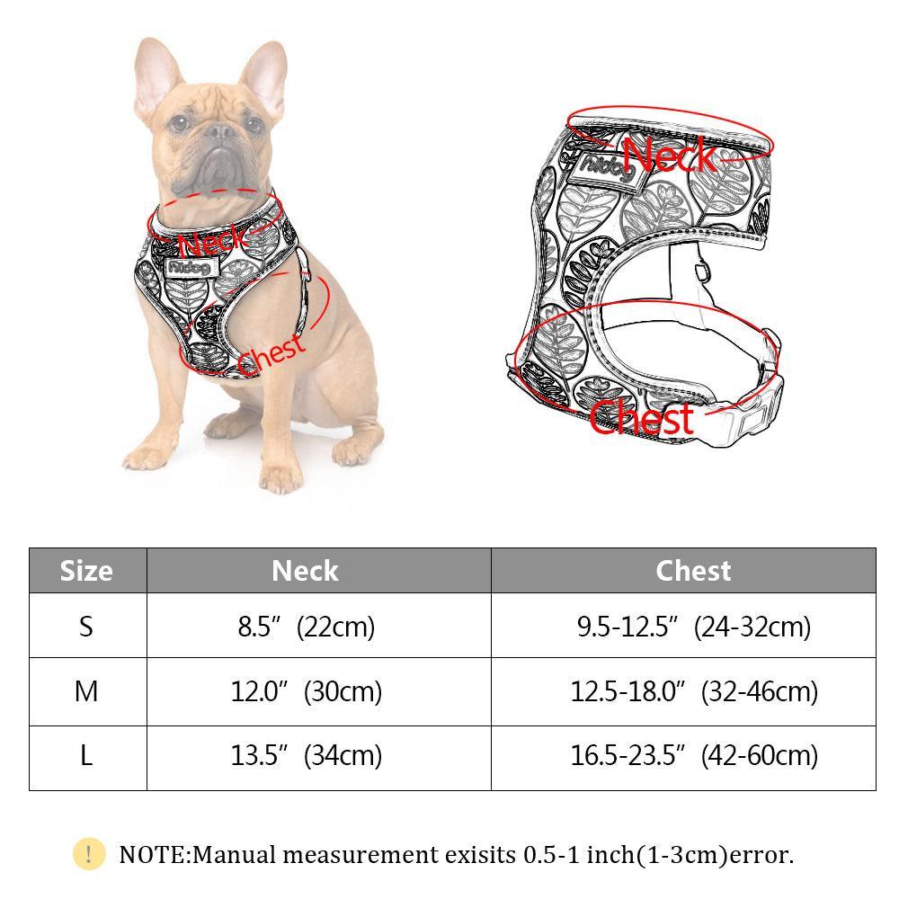 Comfortfit Nylon Dog And Cat Harness Leash Set
