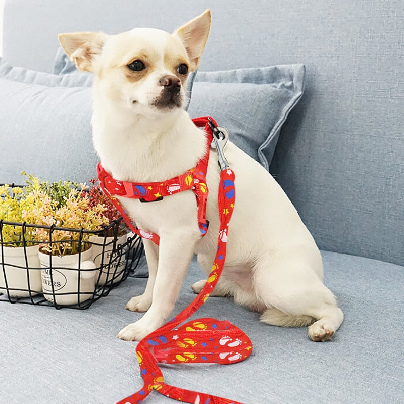 2019 Pet Dog Harness Leashes Puppy Collar for