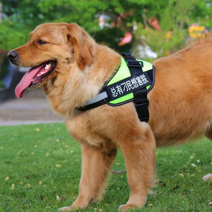 Ultimate Pet Adventure Chest Harness And Leash Set