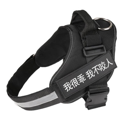 Ultimate Pet Adventure Set: Adjustable Chest Harness With Dog Leash