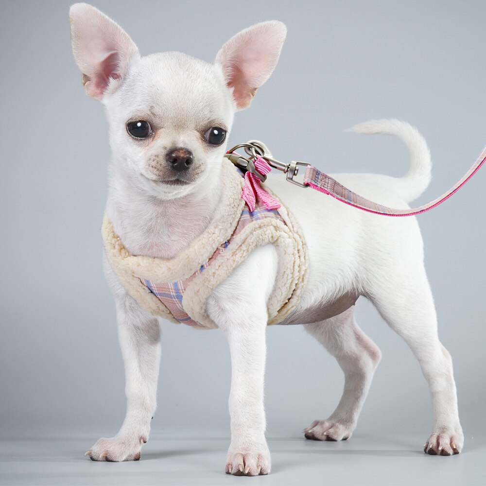 Cute Pet Cat Harness Vest Soft Padded Chihuahua