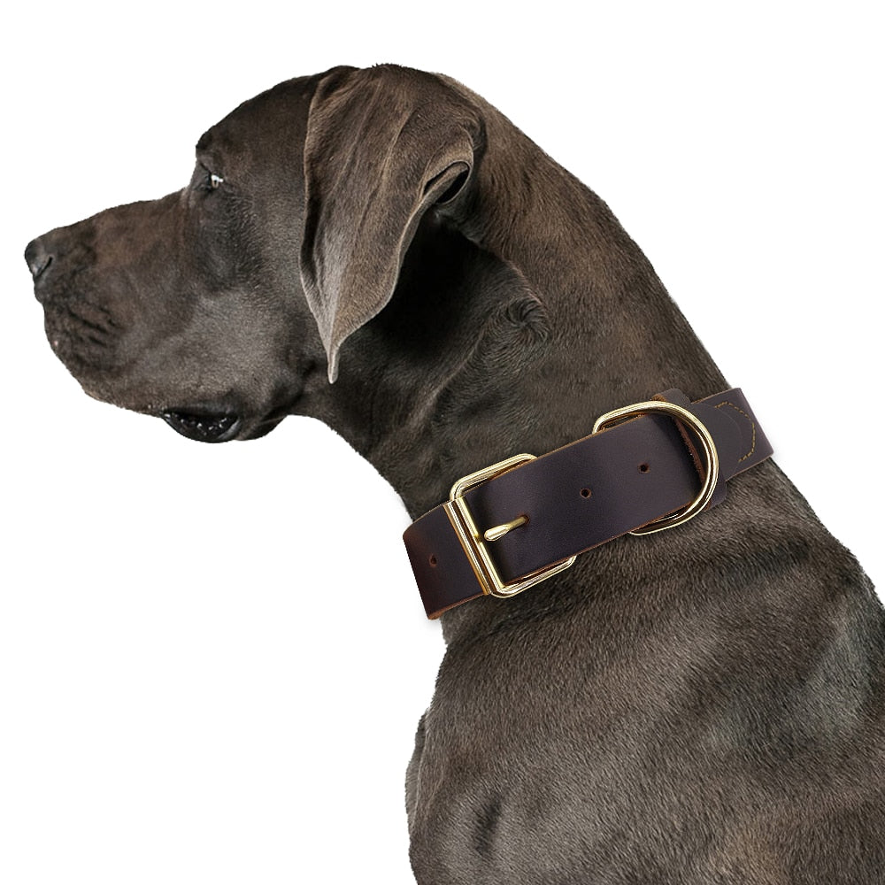 Dog Puppy Collar Genuine Leather Pet Collars For