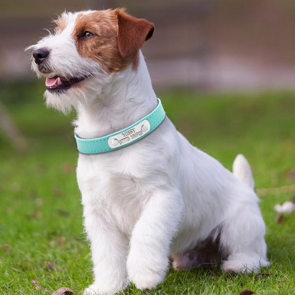 Leather Personalized Dog Collars Custom Cat Pet