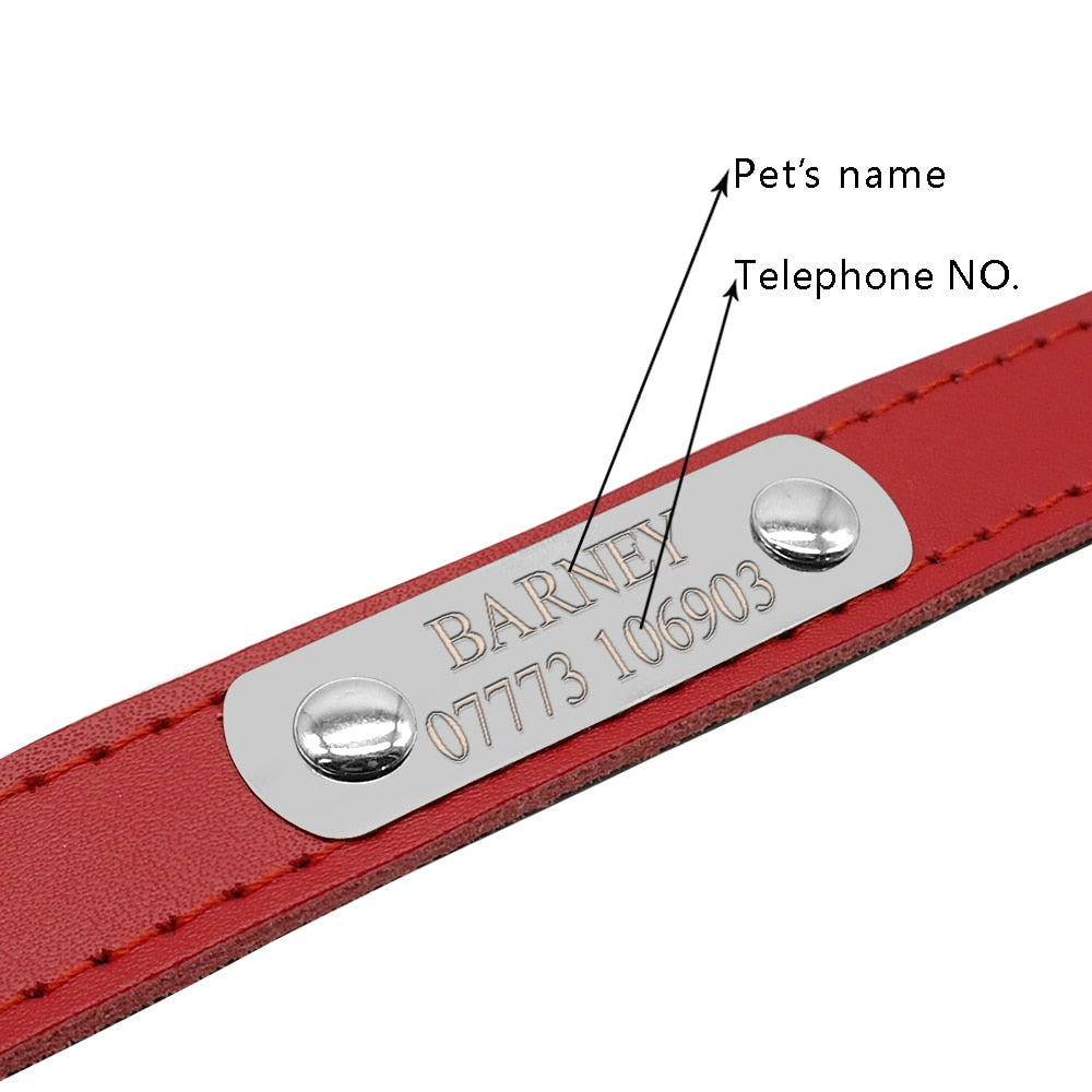 Leather Personalized Dog Collars Custom Cat Pet