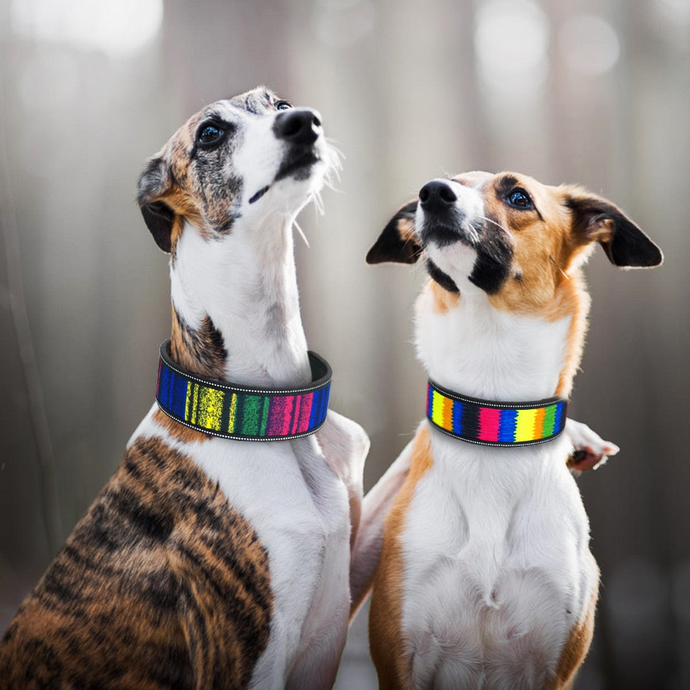 Nylon Dog Collar Reflective Pet Dogs Collars
