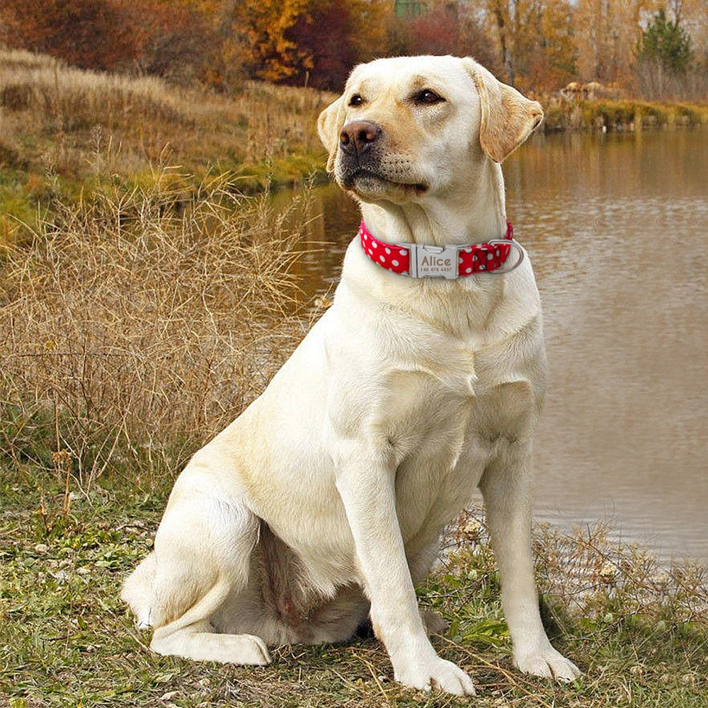 Personalized Dog Collar Dot Dogs Collars Nylon Pet