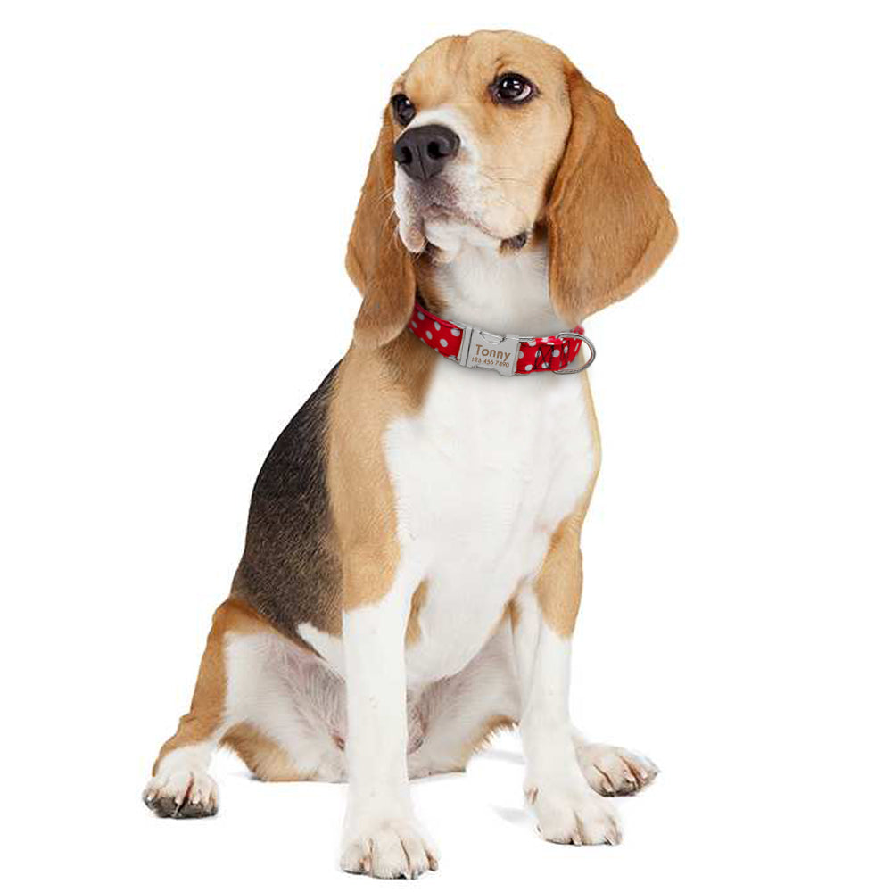 Personalized Dog Collar Dot Dogs Collars Nylon Pet