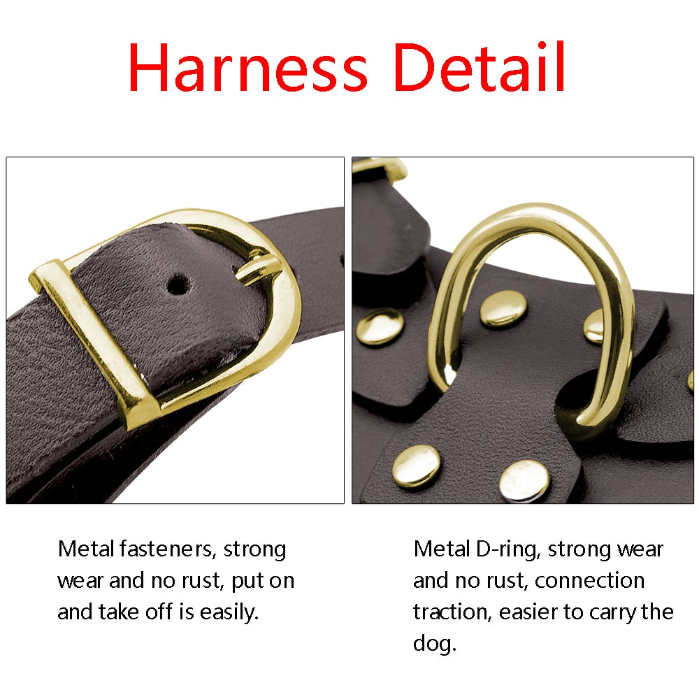 Pit Bull Dog Harness Leash Set No Pull Genuine