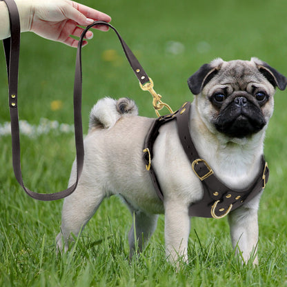 Pit Bull Dog Harness Leash Set No Pull Genuine