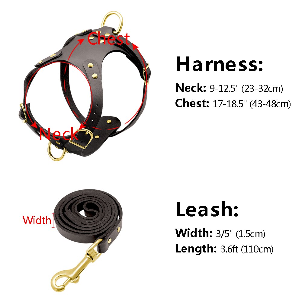 Pit Bull Dog Harness Leash Set No Pull Genuine