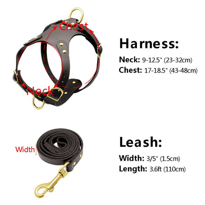 Pit Bull Dog Harness Leash Set No Pull Genuine