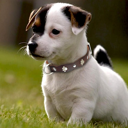 Soft Genuine Leather Pet Dog Collars Adjustable