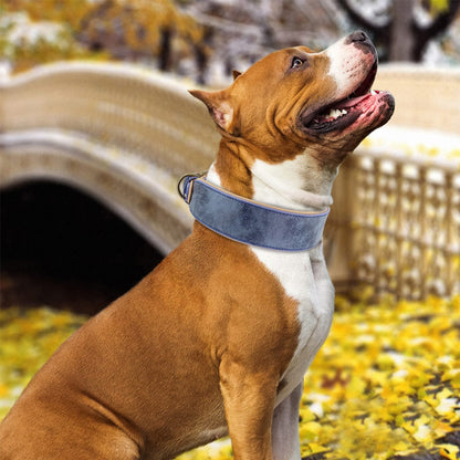 Wide Leather Dog Collar Large Soft Padded Pet Dog