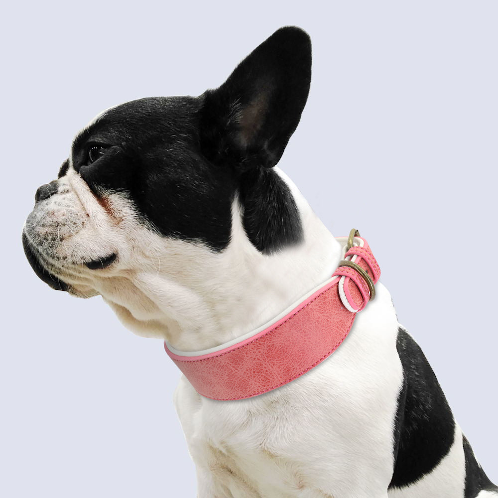 Wide Leather Dog Collar Large Soft Padded Pet Dog