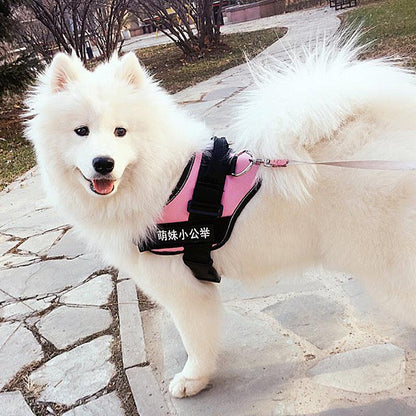 Ultimate Pet Adventure Chest Harness And Leash Set