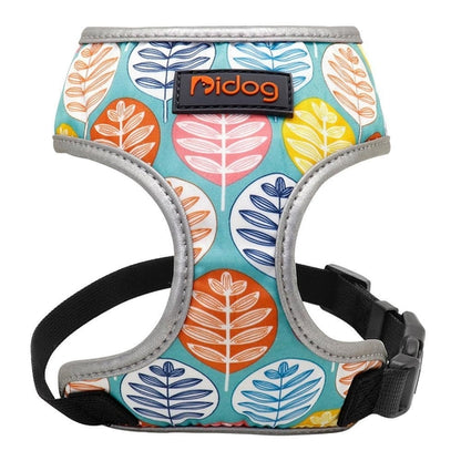 Comfortfit Nylon Dog And Cat Harness Leash Set