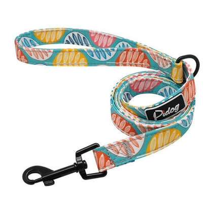 Comfortfit Nylon Dog And Cat Harness Leash Set