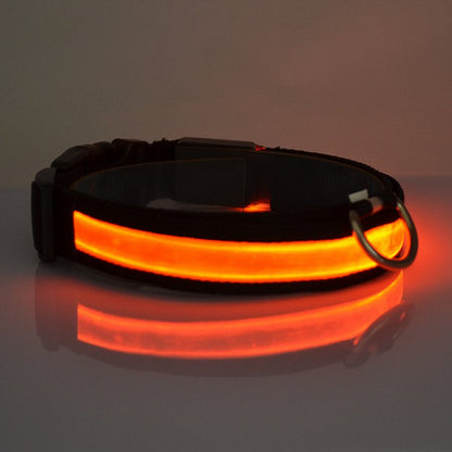 HALO MINI Illuminated Pet Collar