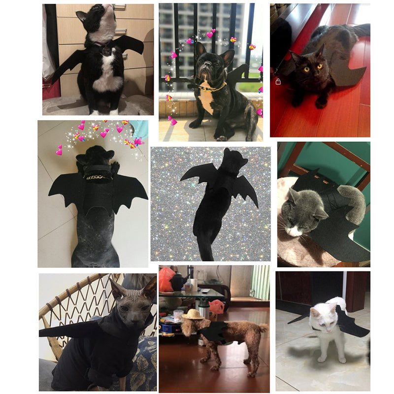 Halloween Pet Costumes Bat Wings
